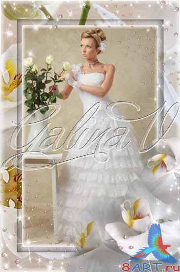 ��������� ����� � ����� ���� ���� �������