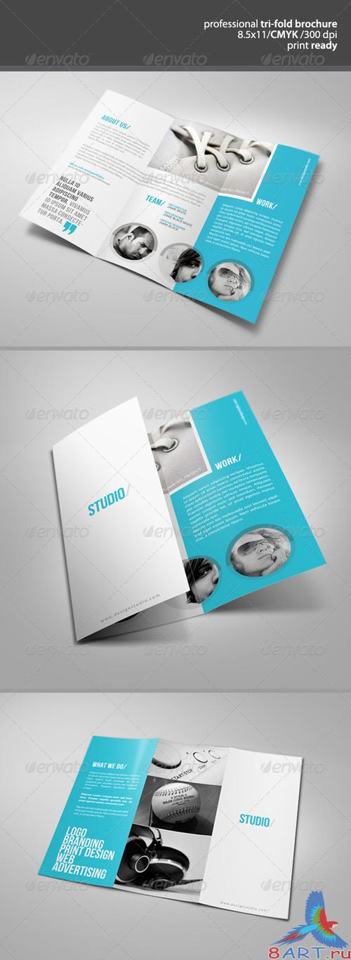 Clean Tri-Fold Brochure