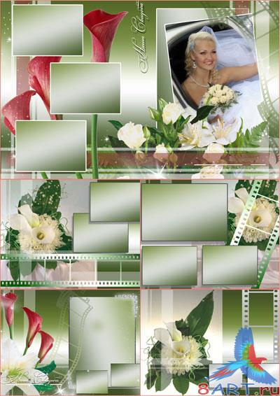 ����� ����� ���������� ���������� ������� - ����� �����