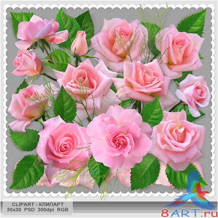 ��������� ������� - ������� ����