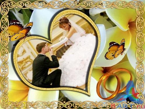 ��������� ��������� - ���� ����� ������