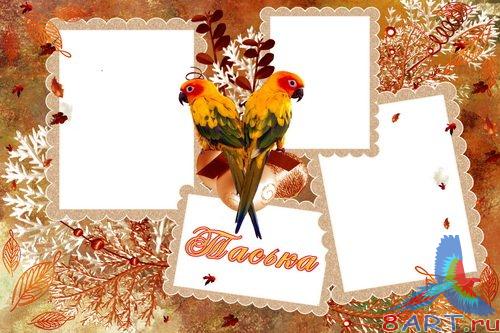 ��������� - �������