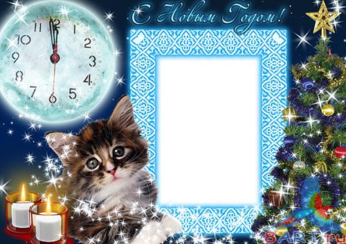 ����� �� ���� - ����� ������ 2011 ����