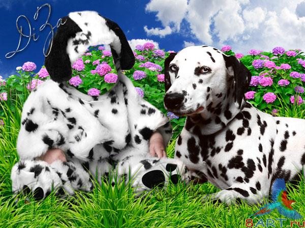 ������ � ����� ������� - ����������