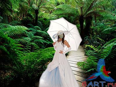 ������ � ����� ���� ������� � ��������