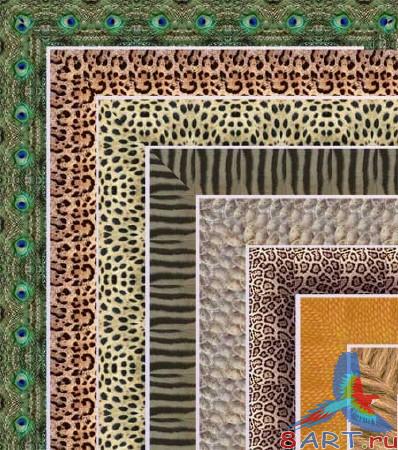 ����� � ���� ��������