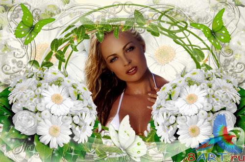 ������� � ����� ���� - ������� ������ ������� �������