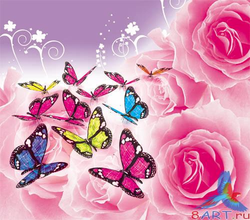 PSD - Pink Rose Template