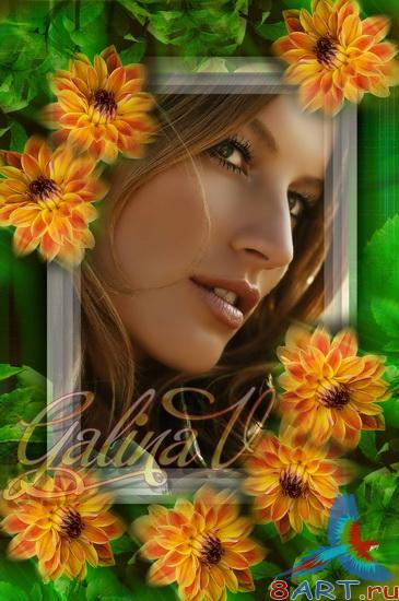 ����� � ����� ���� - ��������� �����