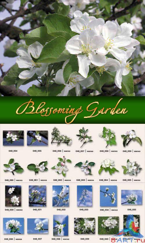 �������� ���, ��������� ����� - ������� jpeg + ����� psd