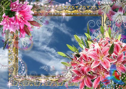 ������������� ��������� "������� � ������� ������� ������"