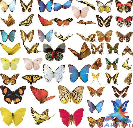 PSD исходники бабочек (часть 03) PSD исходники бабочек (часть 03)