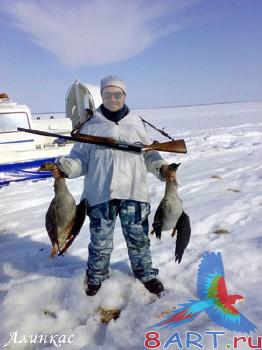 ������ ���� ���� "������ �����"