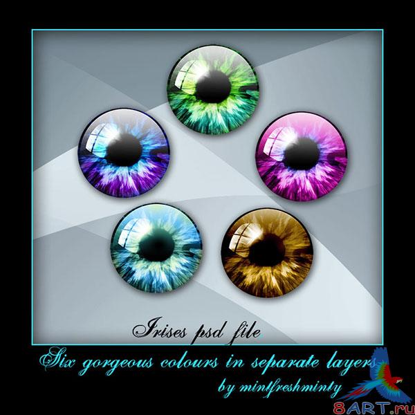 Irises by mintfreshminty Irises by mintfreshminty