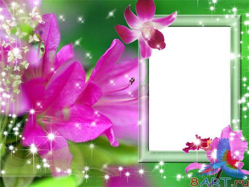 ��������� � ������� ��������� 2.