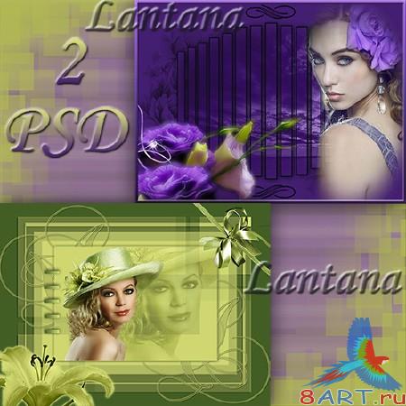 PSD ��������� � ����� ���� �������� - Green and violet