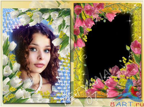 ����� ����� ������� - �������� �����