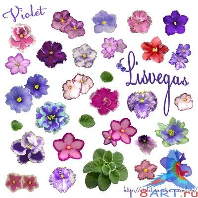 ������� ������