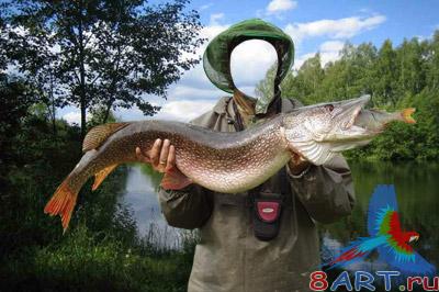 ������ � ������ ���� ������� � ������