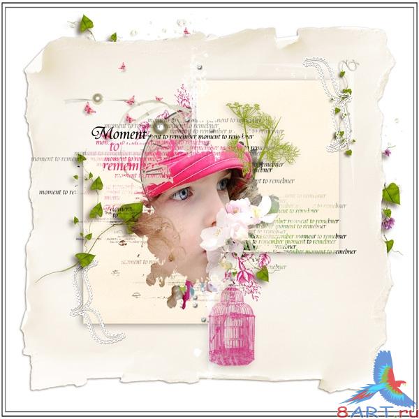 �����-�����  Pink spring