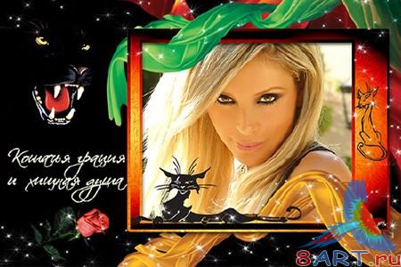 PSD исходник равным образом рамка к фотографии - Кошачья грация PSD исходник равным образом рамка к фотографии - Кошачья грация