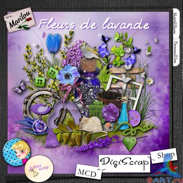 ��������� �����-����� -   Fleurs de lavande