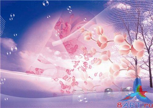 PSD - Pink flowers on Violet Backgrounds