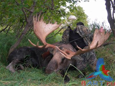 ������ � ����� ������� � ��������� � ����