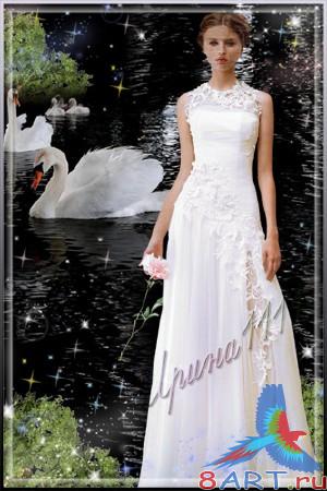 ������� ������ ����� ������� - ������