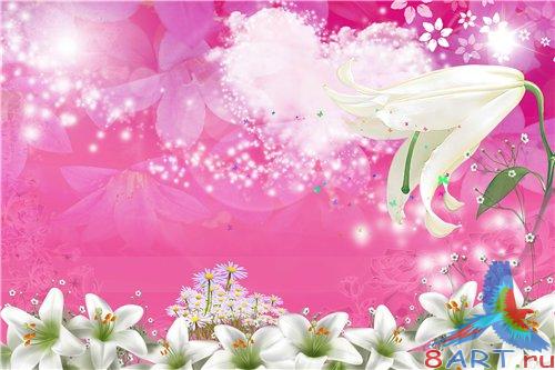 PSD - White orchids with pink background