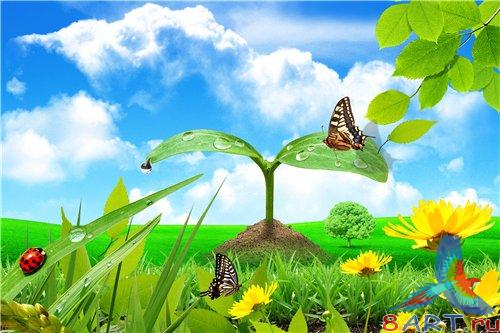 PSD - Spring Vivid Nature