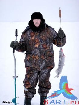 ������ � ��������� ������� "����"