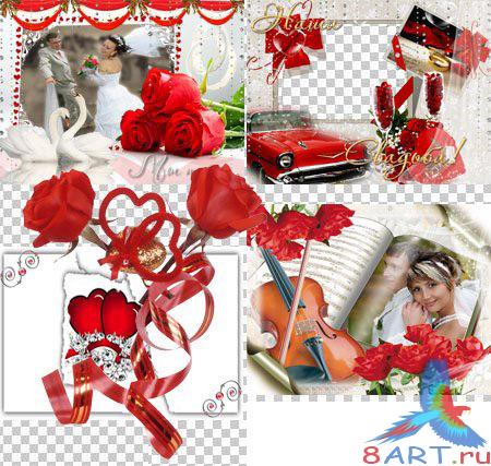 ������������ ��������� ����� ����� ����������