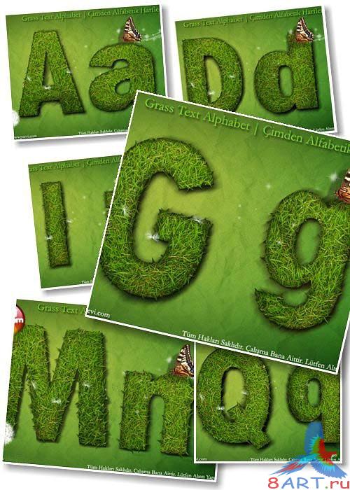 ������������ ������� �� ���� ������� �����