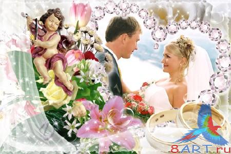 ����� ����� ������� - ���������� ������