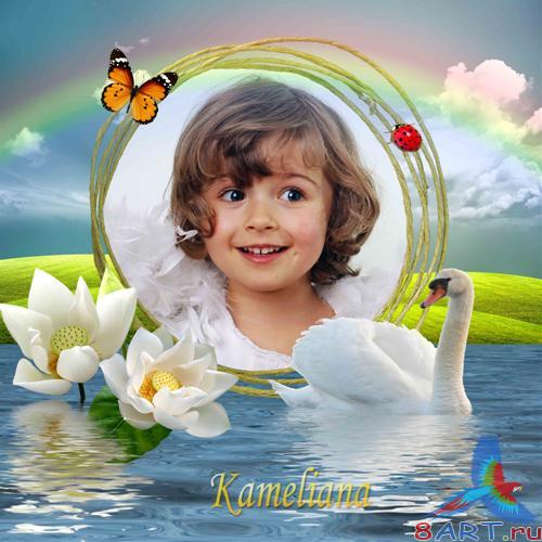 �����-��������� � ��������� ���� - ��������