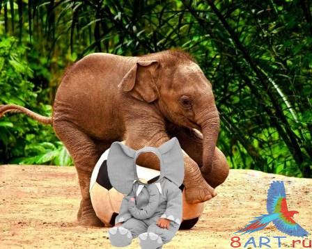 ������� ������ ��������