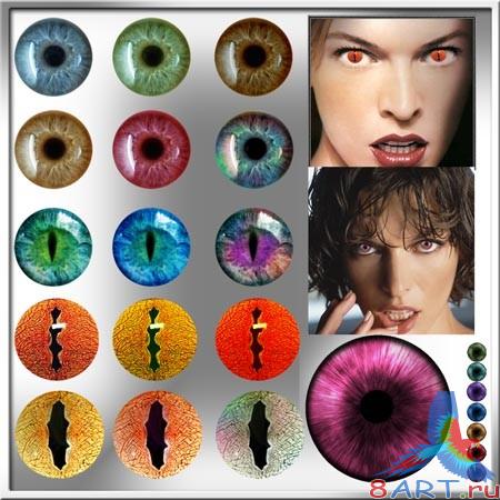 ������� - ����� � ����