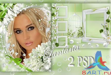 ����� � ���� - �������� �����