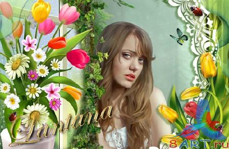 PSD �������� � ��������� �������� - �������� �����