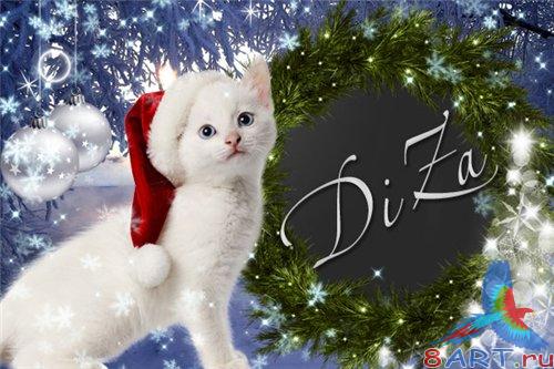 ������� ��� ����