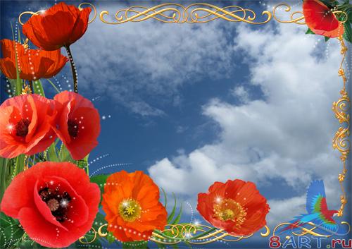 ������������� ��������� "����� ����"