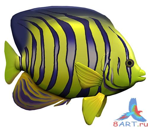 Sea World 1-3 Sea World 1-3