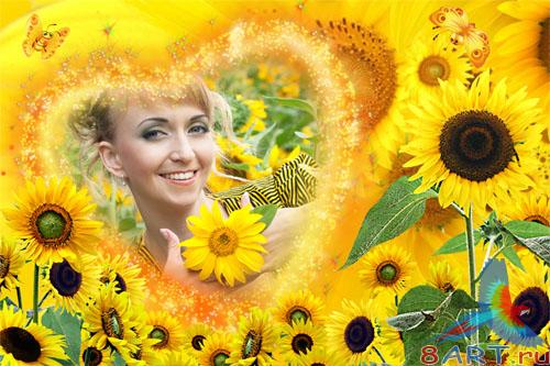 ��������� ����� ����� ���� - ��������� ���������� - ��������� ����