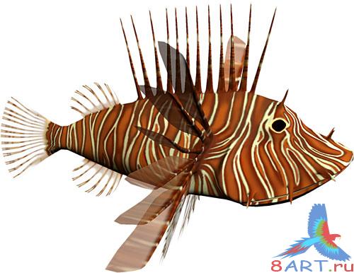 Sea World 1-3 Sea World 1-3