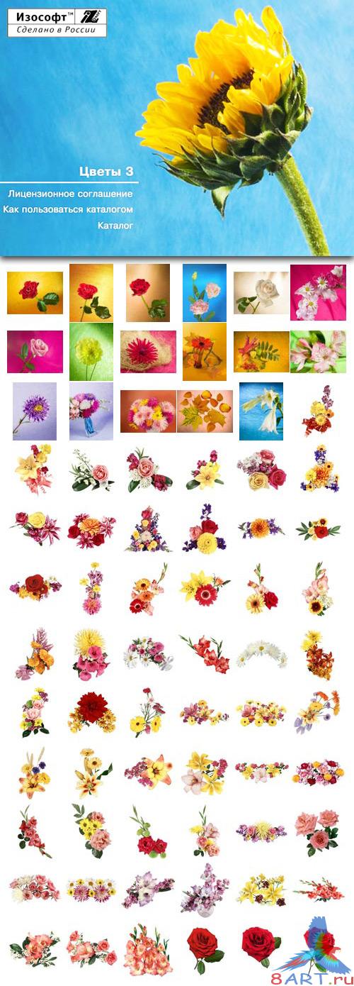 Izosoft - Flowers 3 (IZ114)