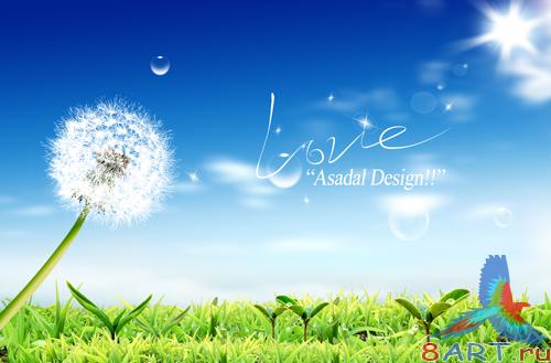 Sources - lush green grass