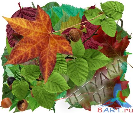 ������� ��� ���������� ���� - ������ - 1