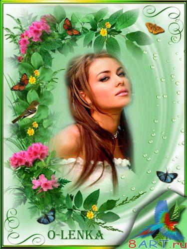 ��������� - ������� �� ������