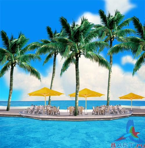 Palm, Sea and Umbrella